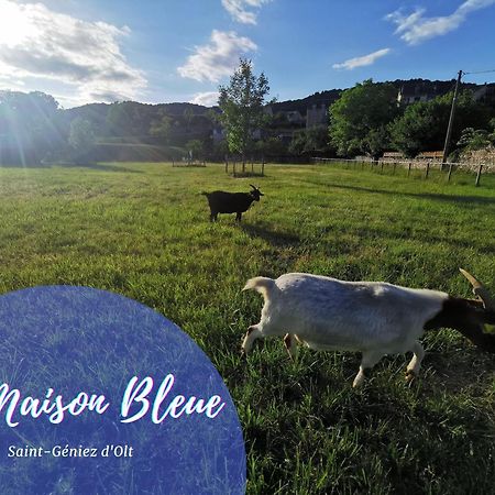 Au 11 T3 Duplex, Village Vacances, Piscines, Parking Saint-Geniez-dʼOlt Eksteriør bilde