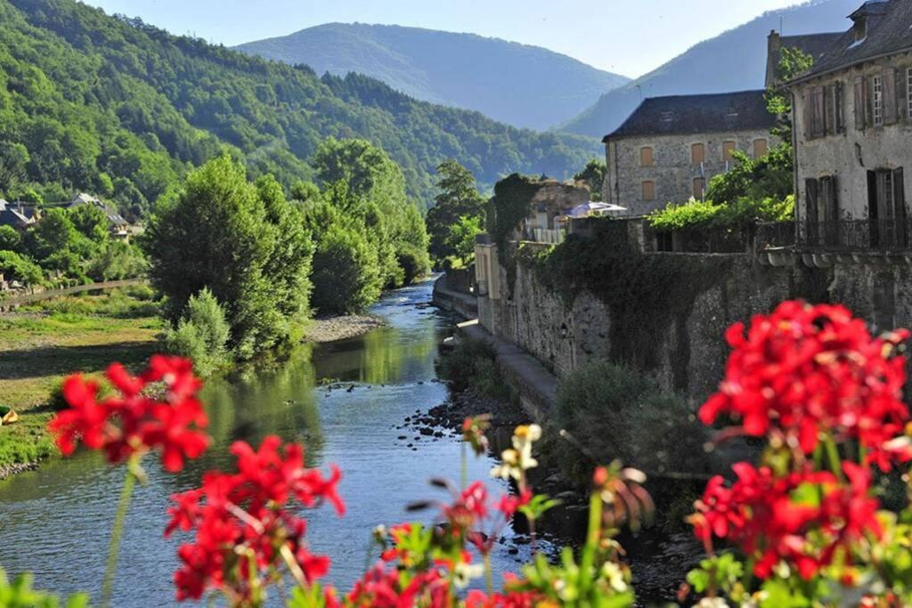 Au 11 T3 Duplex, Village Vacances, Piscines, Parking Saint-Geniez-dʼOlt Eksteriør bilde