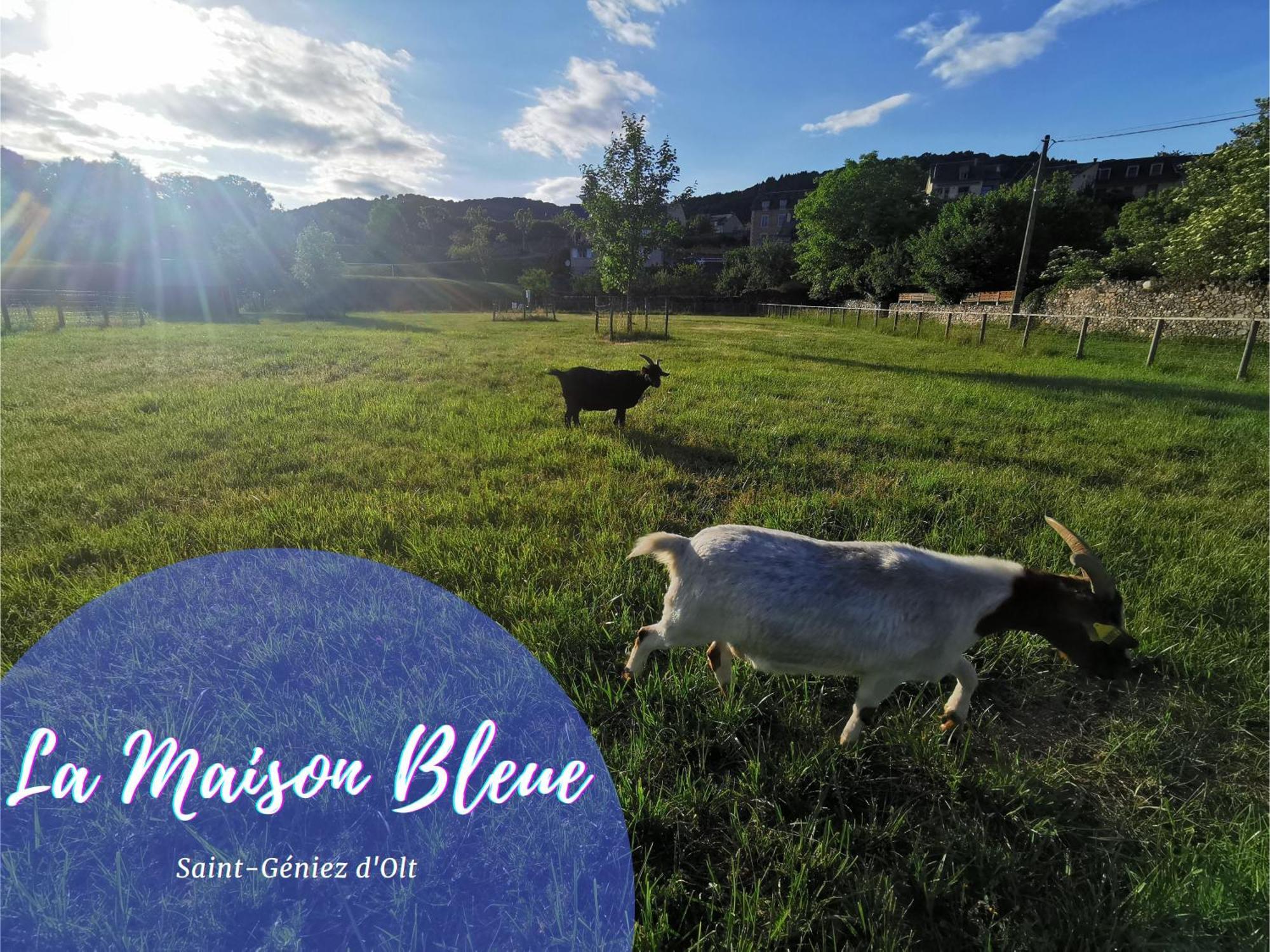 Au 11 T3 Duplex, Village Vacances, Piscines, Parking Saint-Geniez-dʼOlt Eksteriør bilde