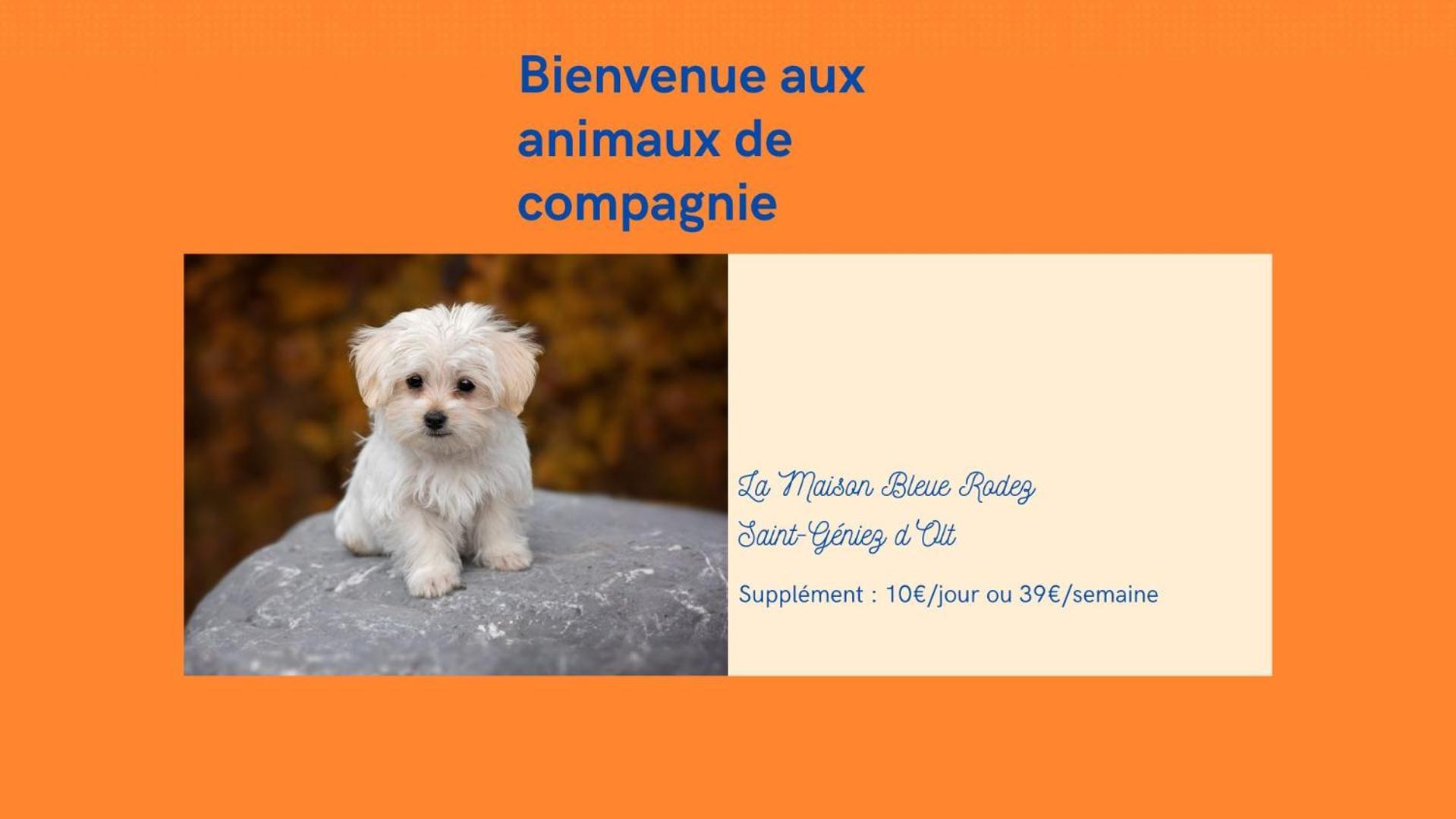 Au 11 T3 Duplex, Village Vacances, Piscines, Parking Saint-Geniez-dʼOlt Eksteriør bilde